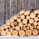The Benefits of Buying Firewood Logs and their Distribution in the UK